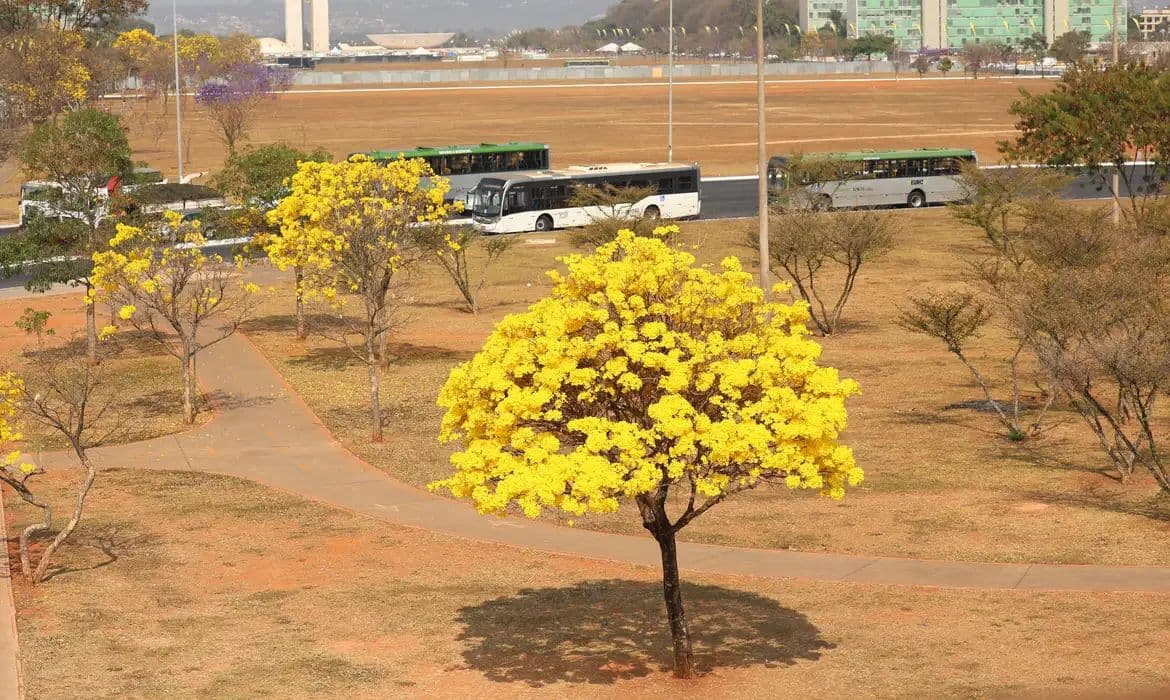 Centro-Oeste em Alerta: Chuvas e Baixa Umidade Afetam a Região