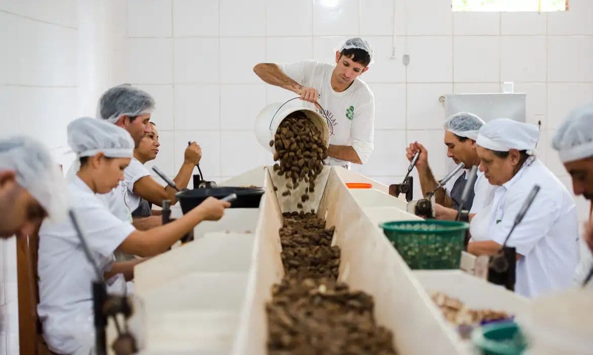 Consulta pública sobre bens sustentáveis no acordo Mercosul-UE encerra prazo
