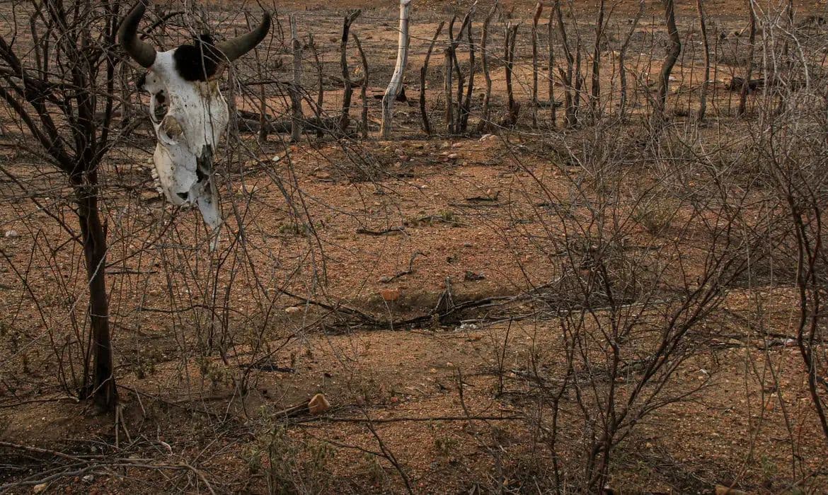 Defesa Civil reconhece situação de emergência em sete cidades do Nordeste