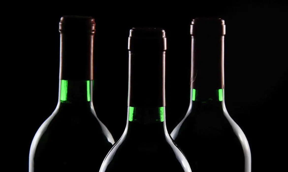 Alcoólicos Anônimos celebra 79 anos com foco em inclusão
