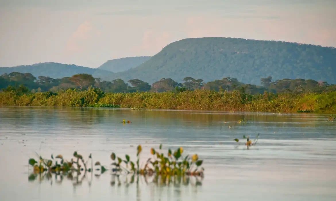Cerrado perde 13,9 milhões de hectares de vegetação em margens de rios