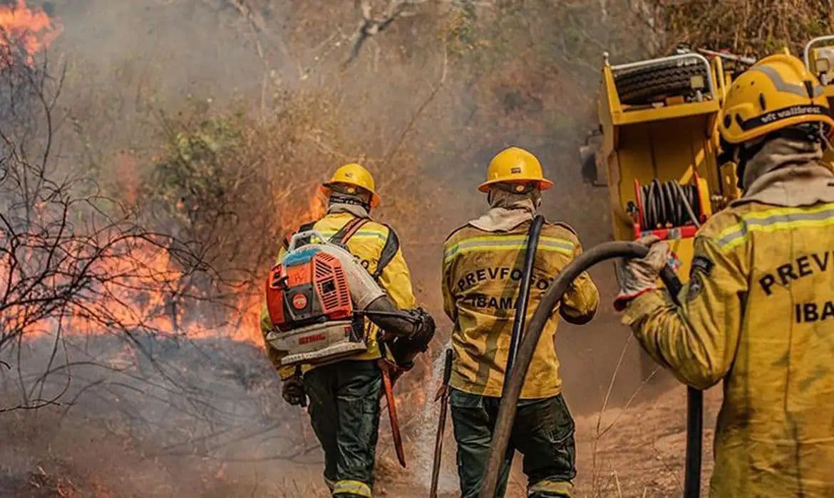 Governo Federal mobiliza força-tarefa contra queimadas no Amazonas