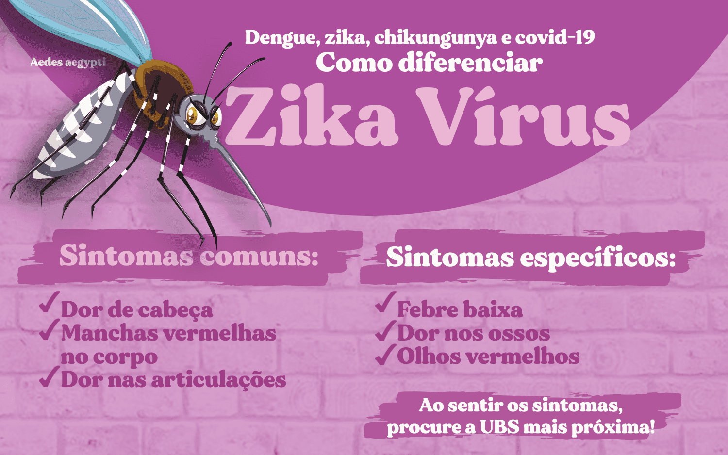 Zika, uma doença que requer muita atenção das gestantes