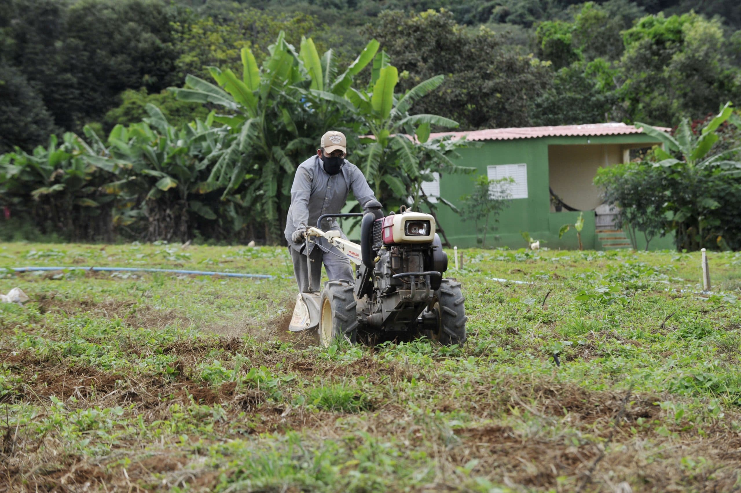 DF vai ganhar uma área de desenvolvimento econômico rural
