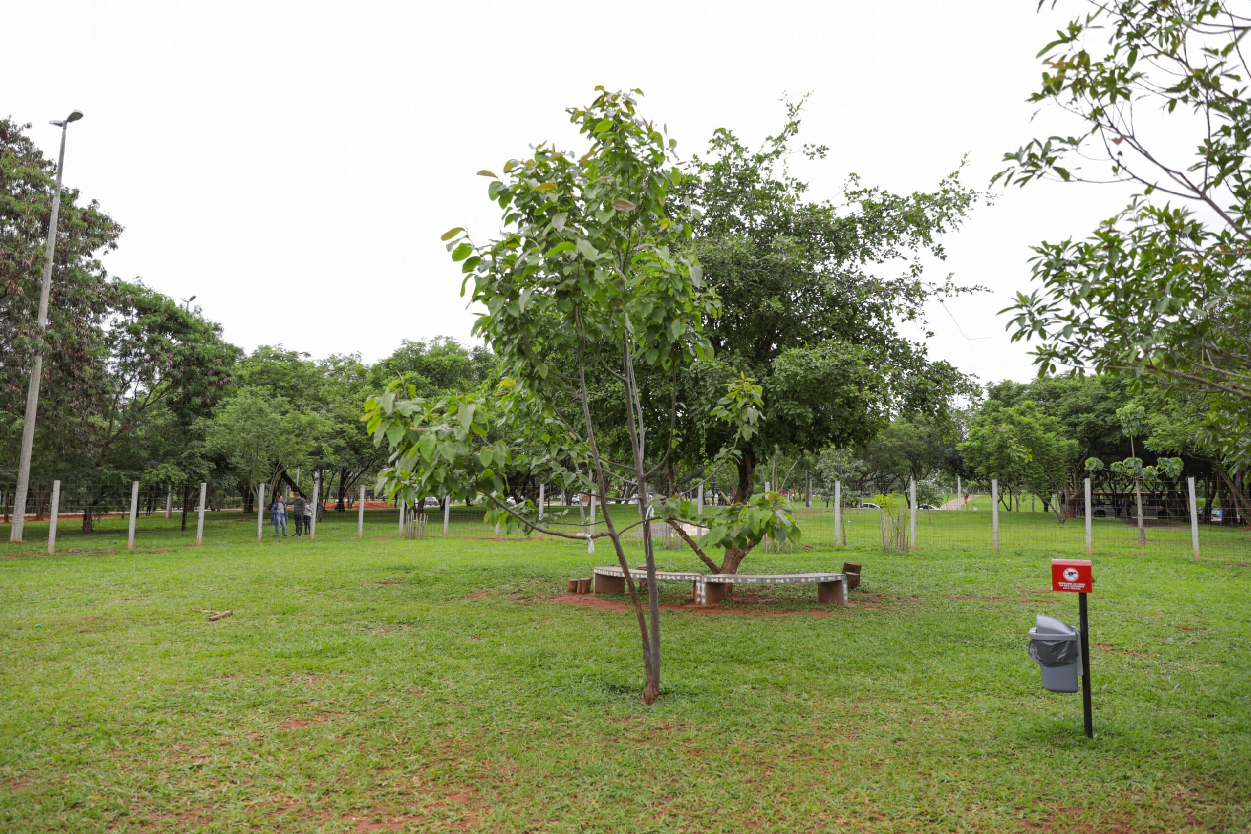 Sudoeste ganha novo “parcão”