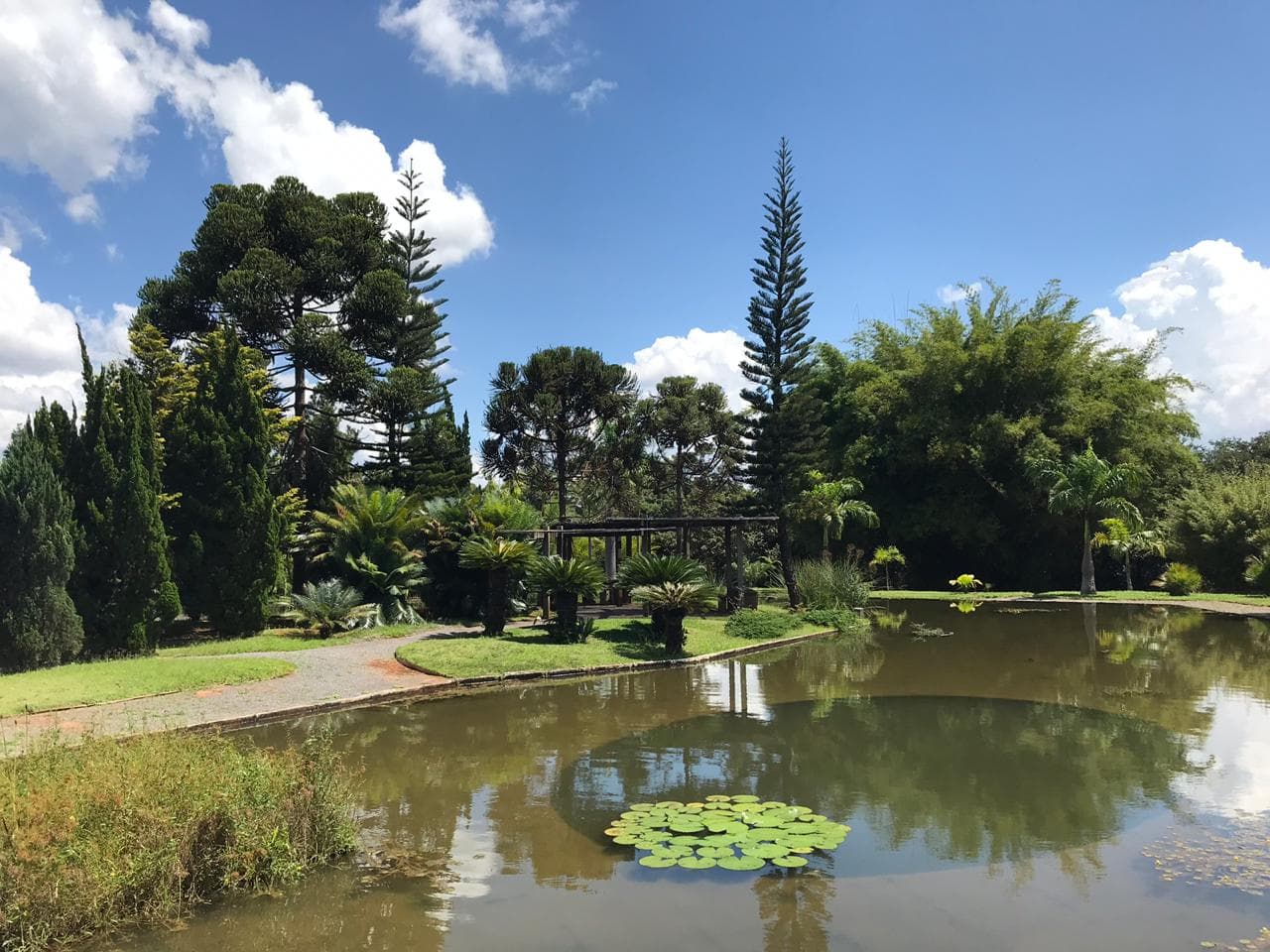 Confira a programação de aniversário do Jardim Botânico