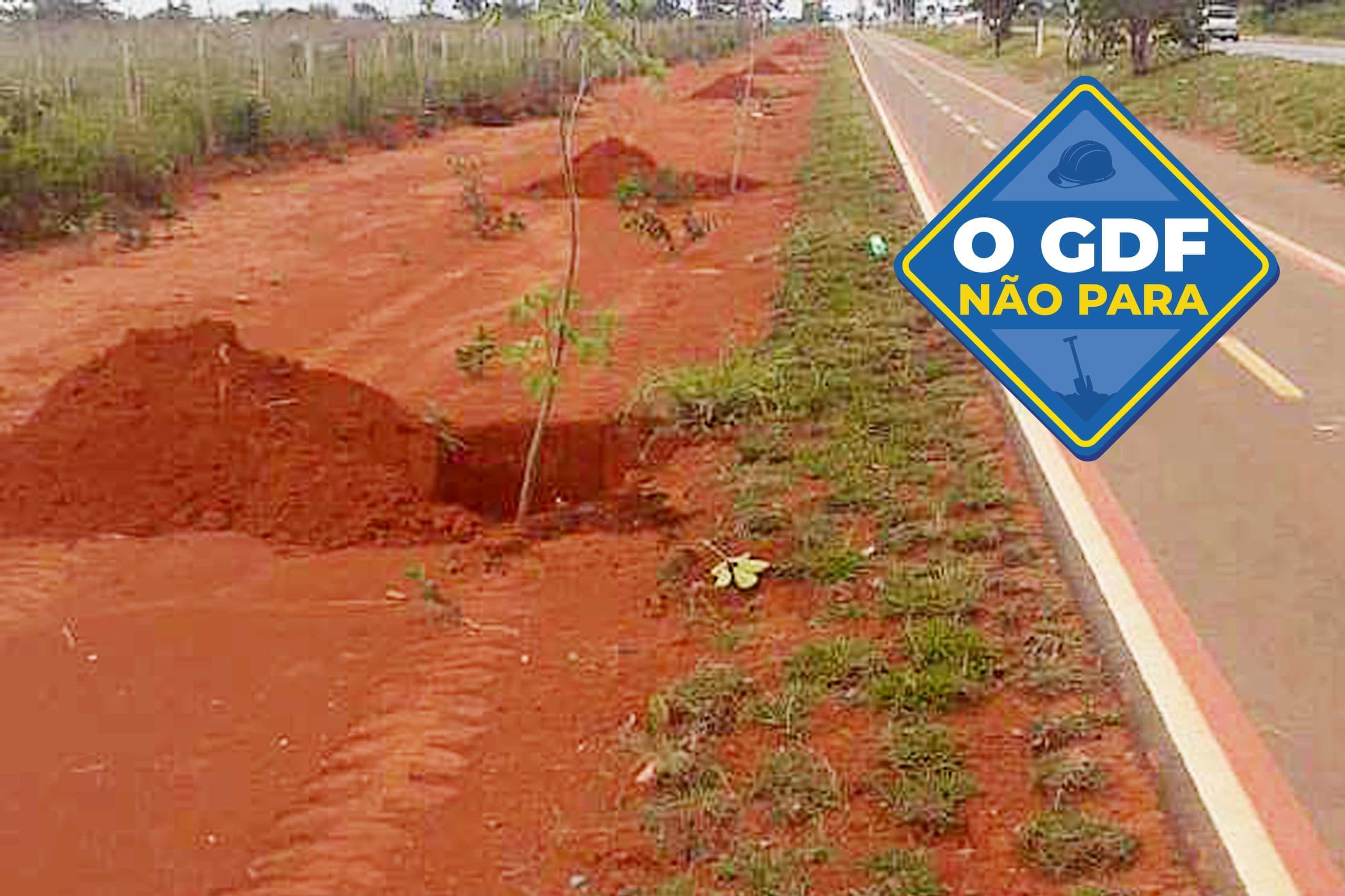 Replantio de mudas de ipês na Vicinal 371