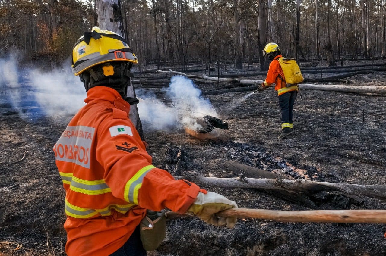 DF entra em emergência ambiental para prevenir incêndios florestais