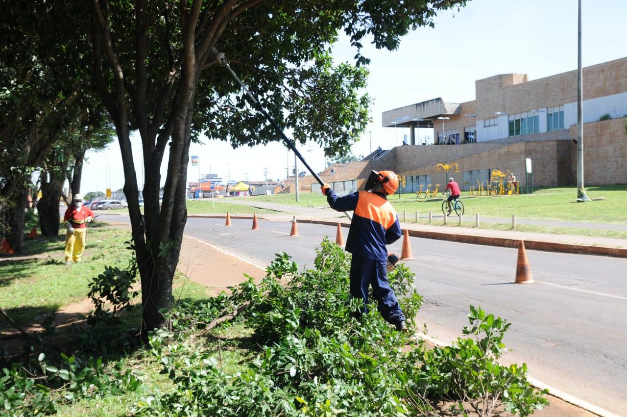 Mutirão faz poda de árvores em 70 pontos do Distrito Federal