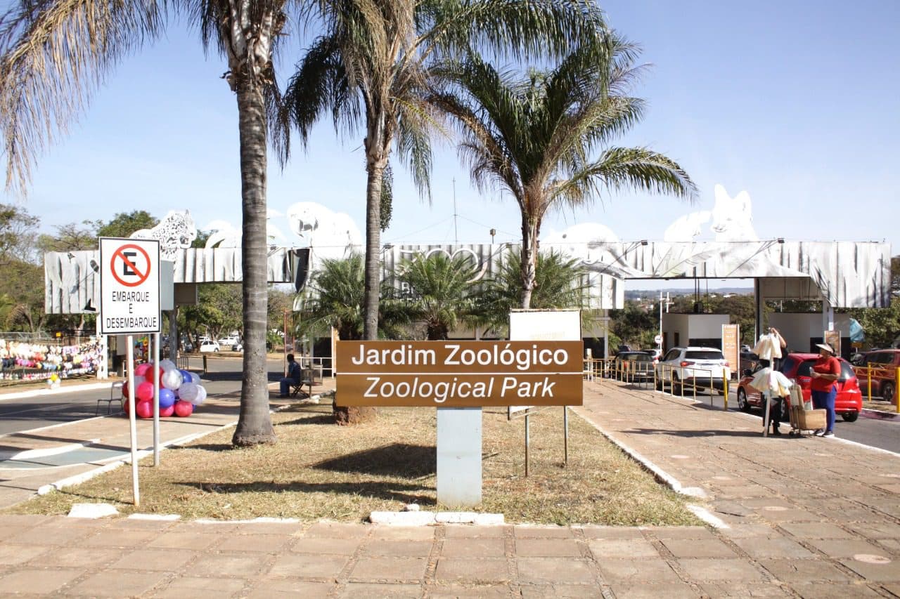 Domingo (4) terá vacinação de crianças e adultos no Zoológico