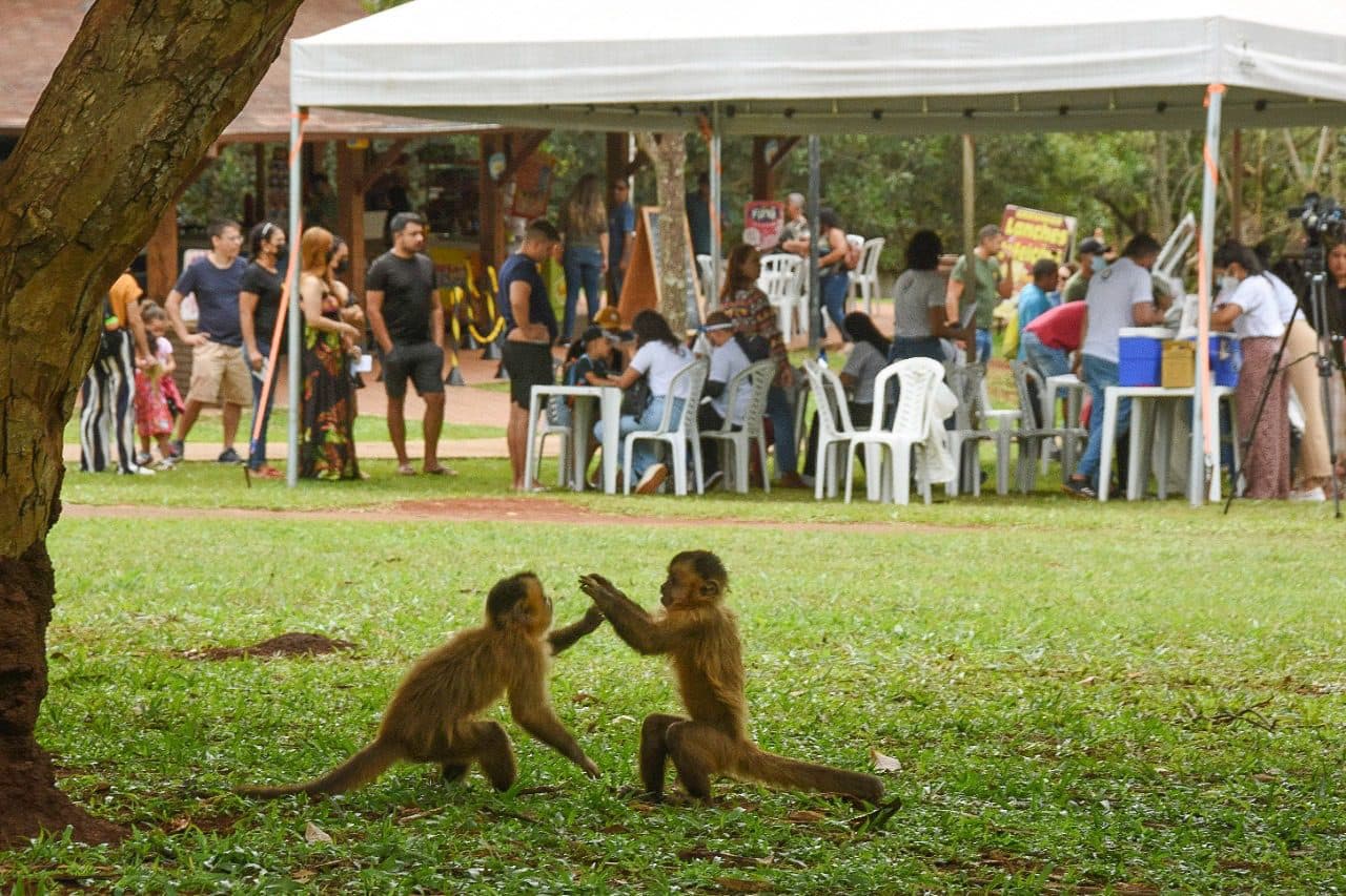 Visitantes do Zoo neste domingo (4) aprovam vacinação no local