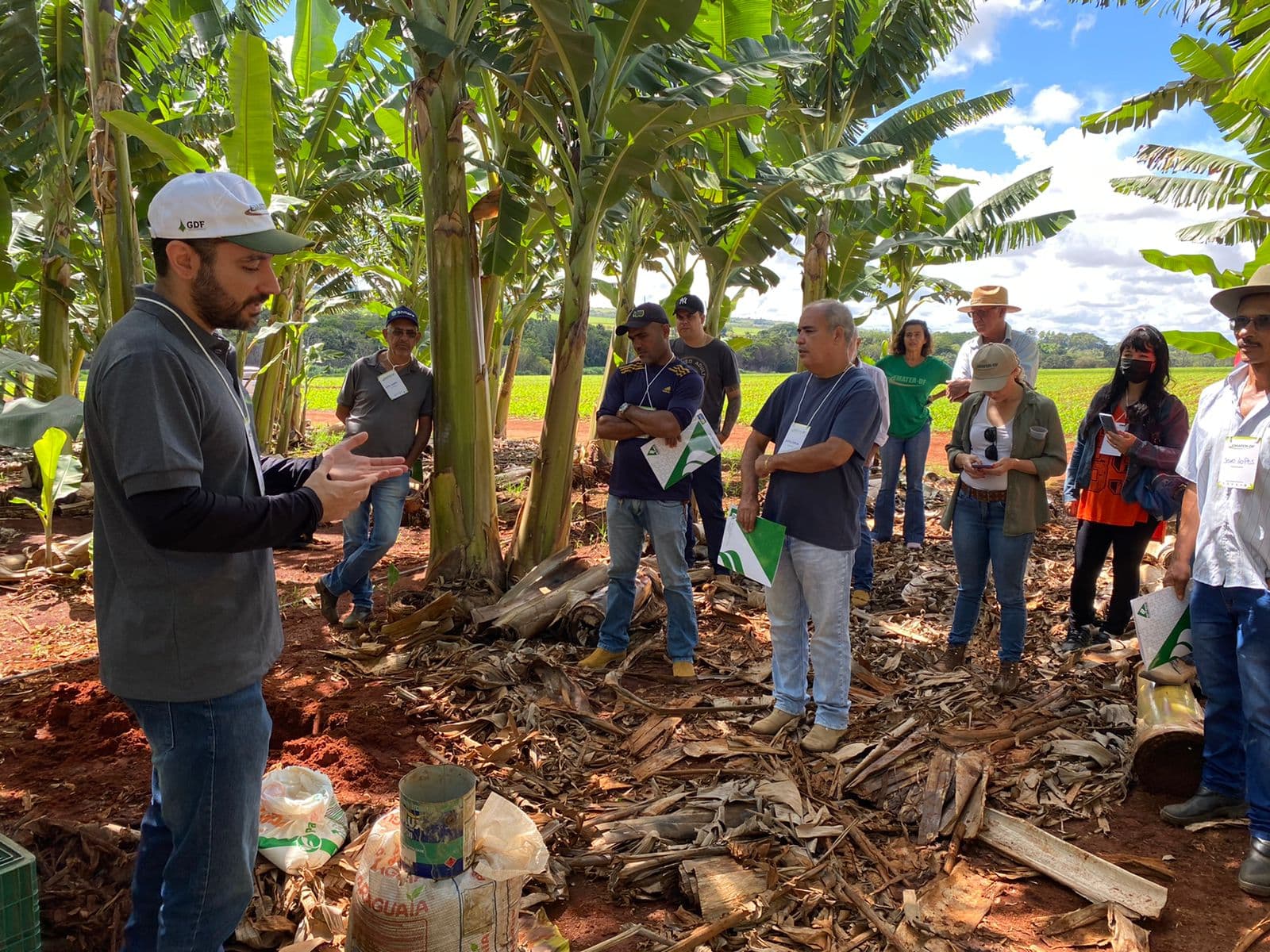 Produtores são capacitados para o cultivo de banana