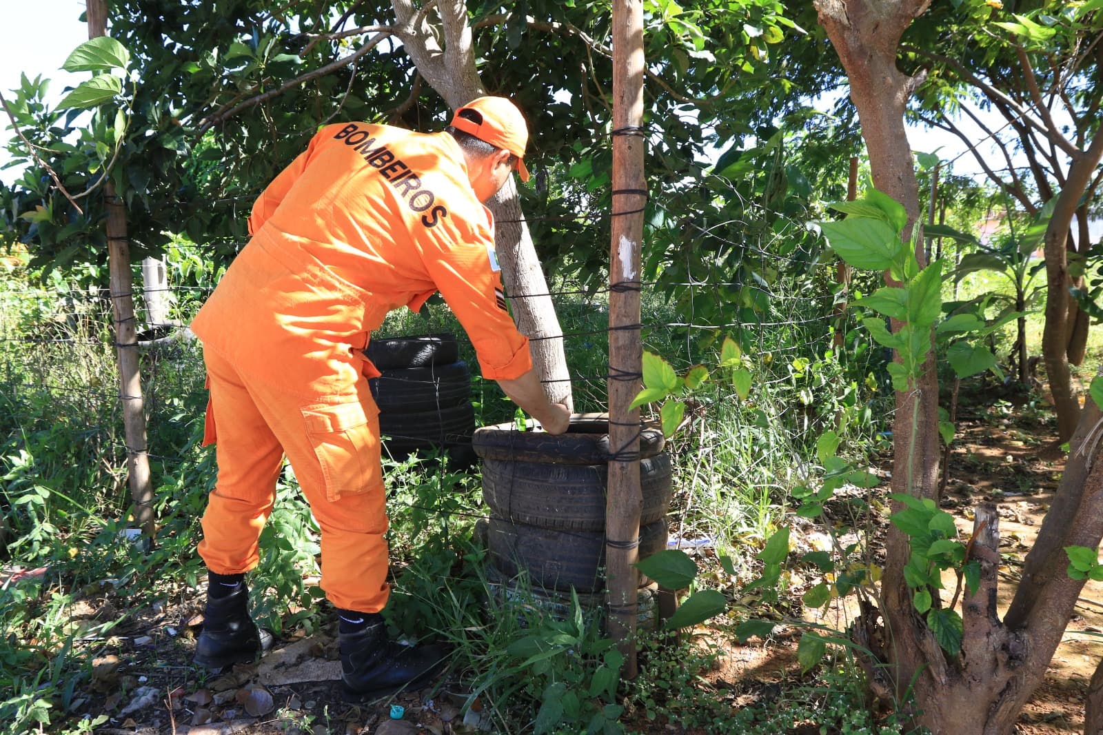 GDF monta força-tarefa para combate à dengue em Brazlândia