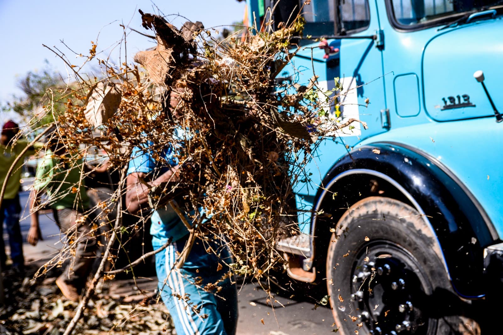38 toneladas de lixo verde são recolhidas no Plano Piloto