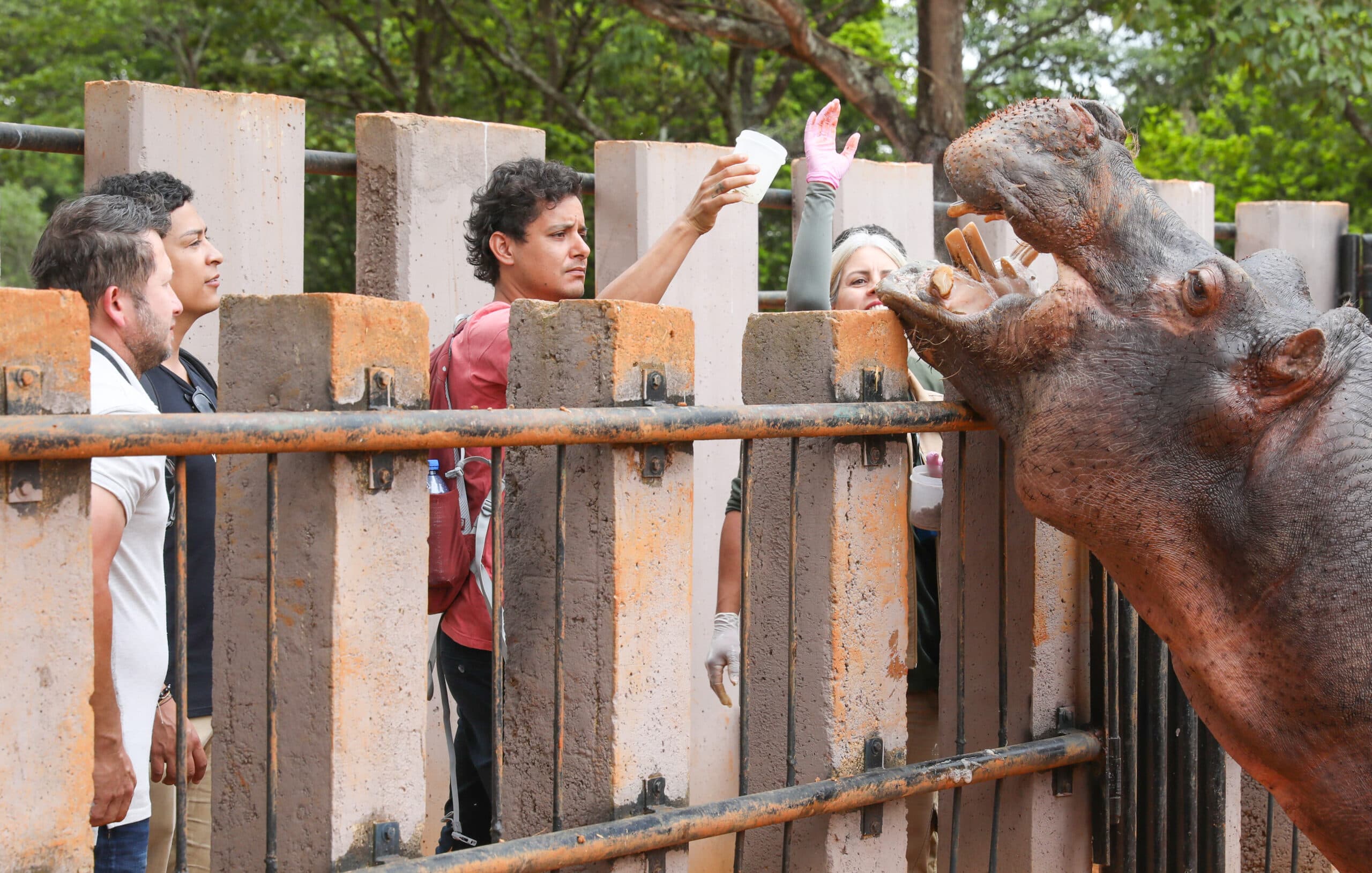 Técnicos do Zoo de Cali aprendem técnicas de manejo animal do DF