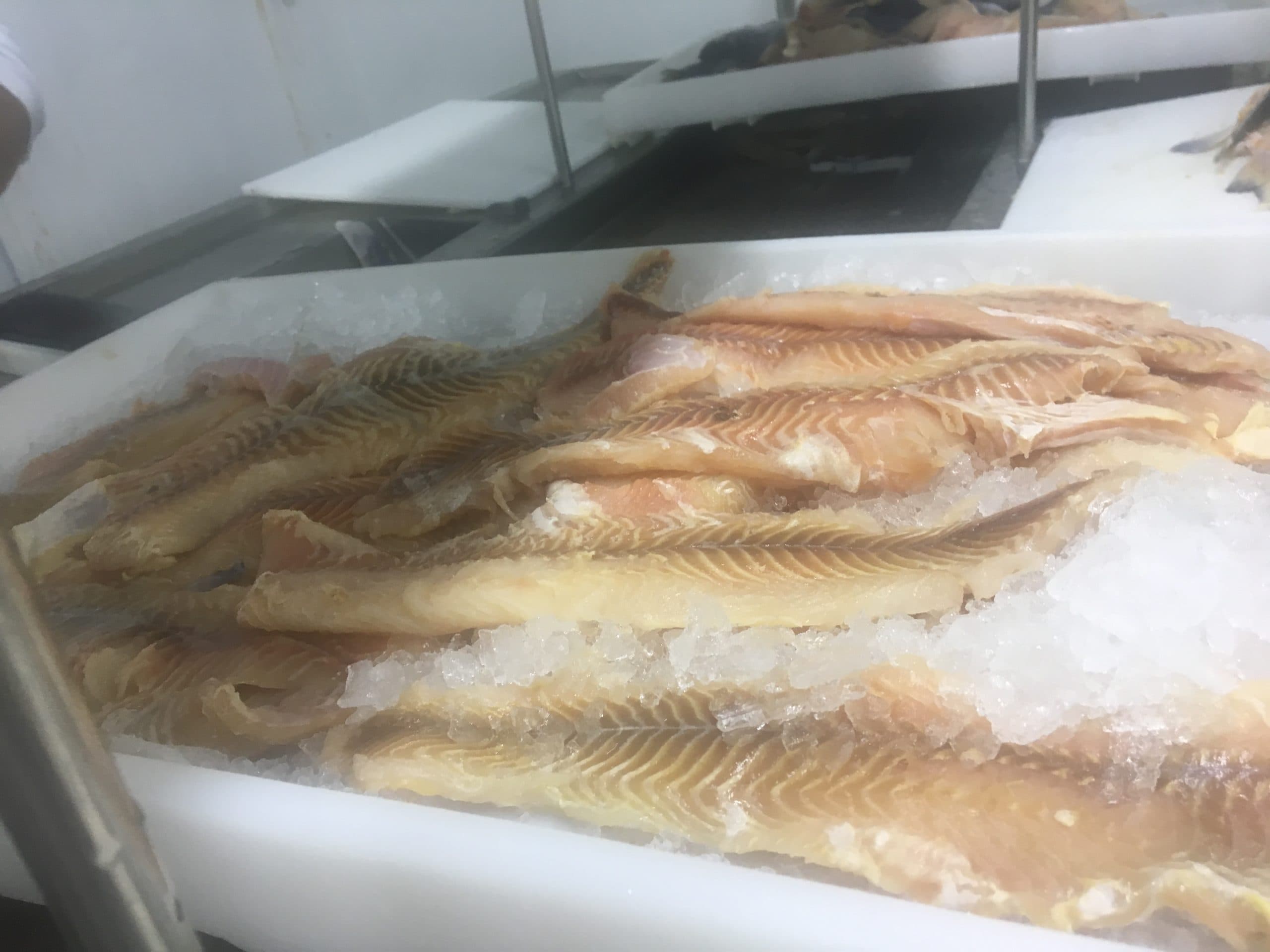 Agroindústrias de pescado e ovos do DF poderão vender em todo o Brasil