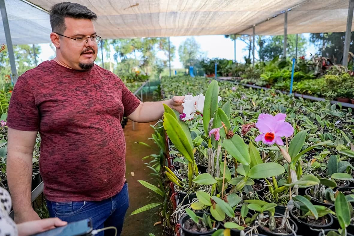 Flores produzidas no DF garantem beleza e mais durabilidade