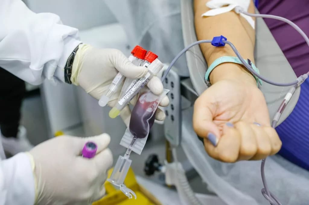 Campanha Sangue é Vida chega à quinta edição na quarta-feira (14)