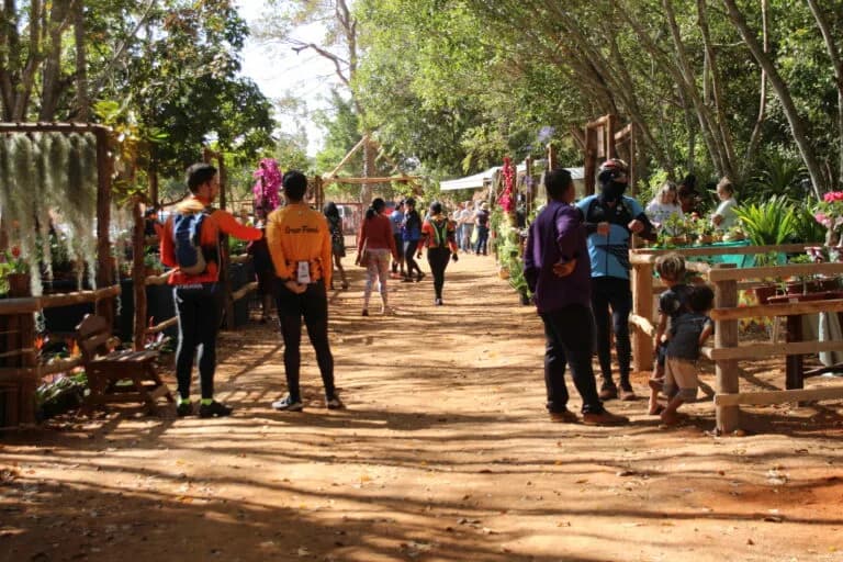 Fim de semana tem a 8ª Feira da Colônia na área rural de Planaltina
