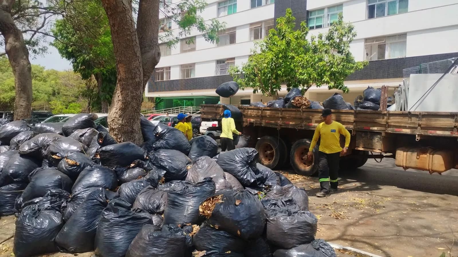 Força-Tarefa Remove Folhas Secas para Prevenir Alagamentos no Plano Piloto