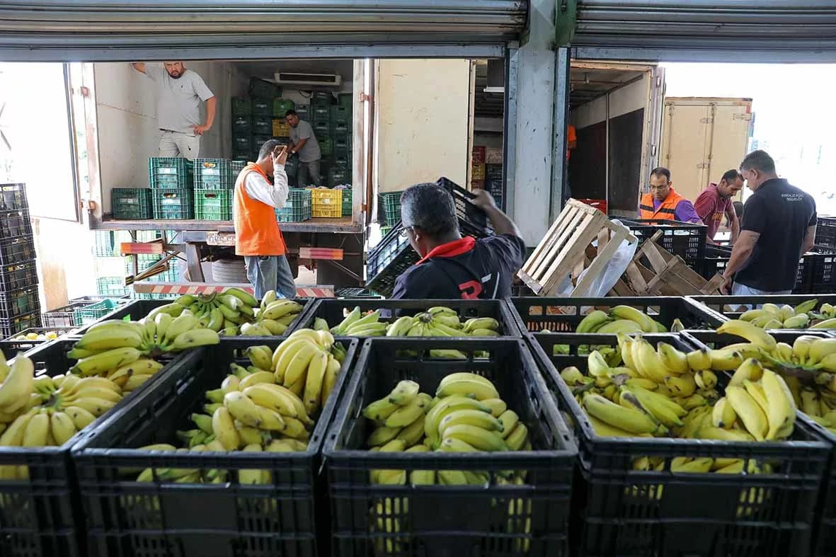 Papa-DF distribui alimentos e beneficia 56 mil pessoas no Distrito Federal