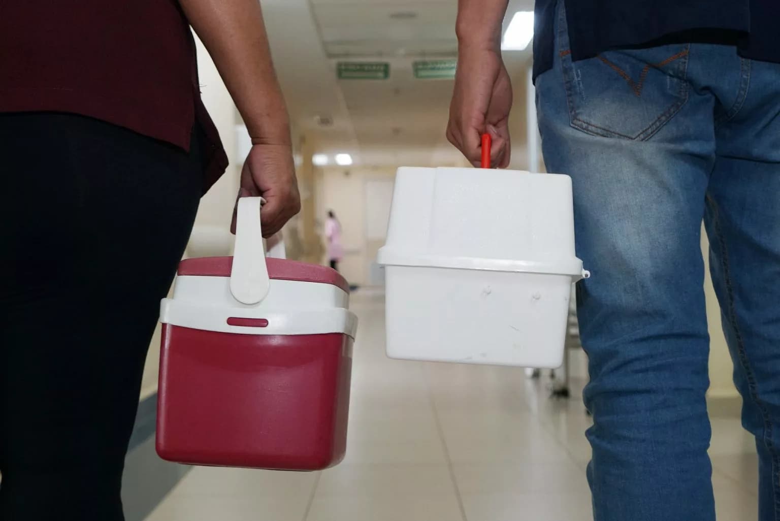 Distrito Federal registra crescimento em transplantes de órgãos e tecidos em 2024