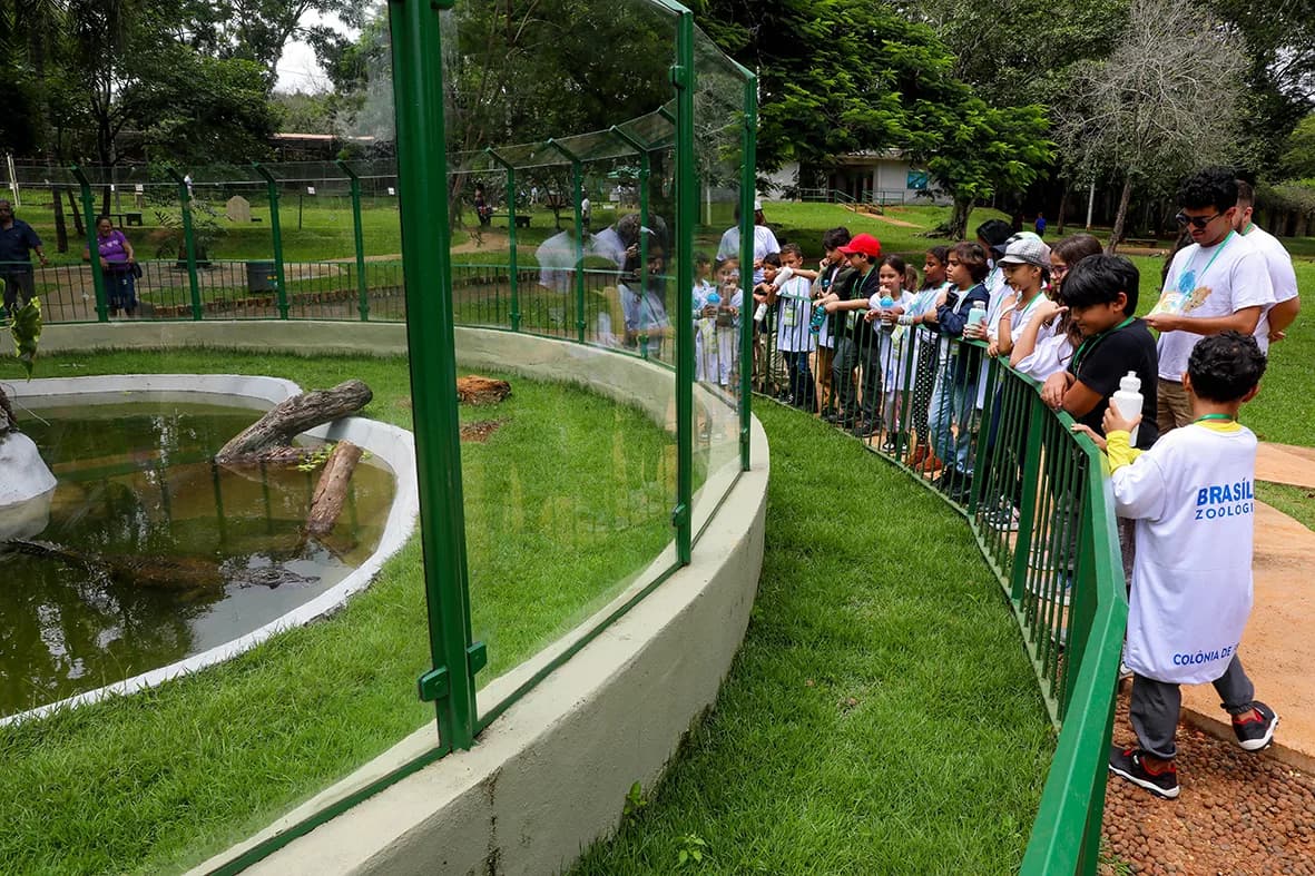 Colônia de férias do zoológico de Brasília encanta crianças com diversão e educação ambiental