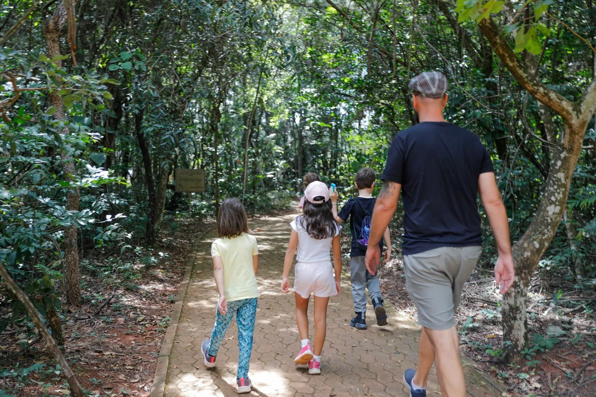 Banho de floresta no Jardim Botânico de Brasília promove conexão com a natureza