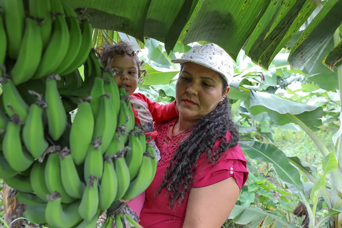 GDF investe R$ 10 milhões em crédito rural para agricultores do Distrito Federal
