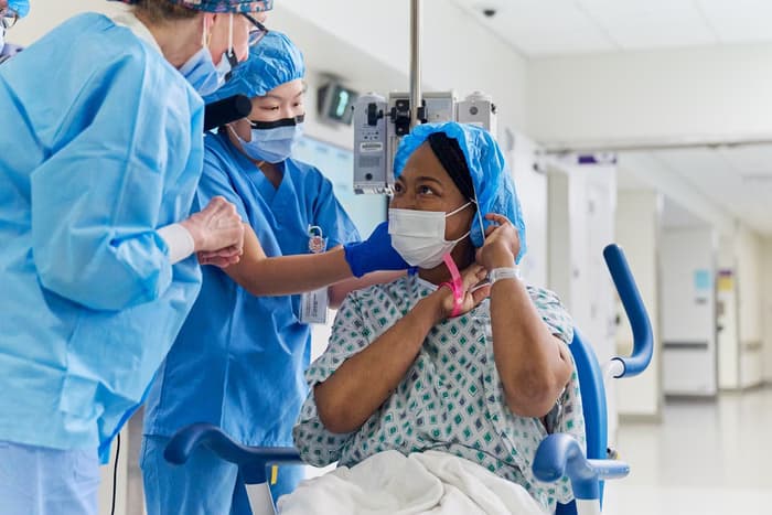 EUA aprovam estudo clínico para transplante de rim de porco em humanos