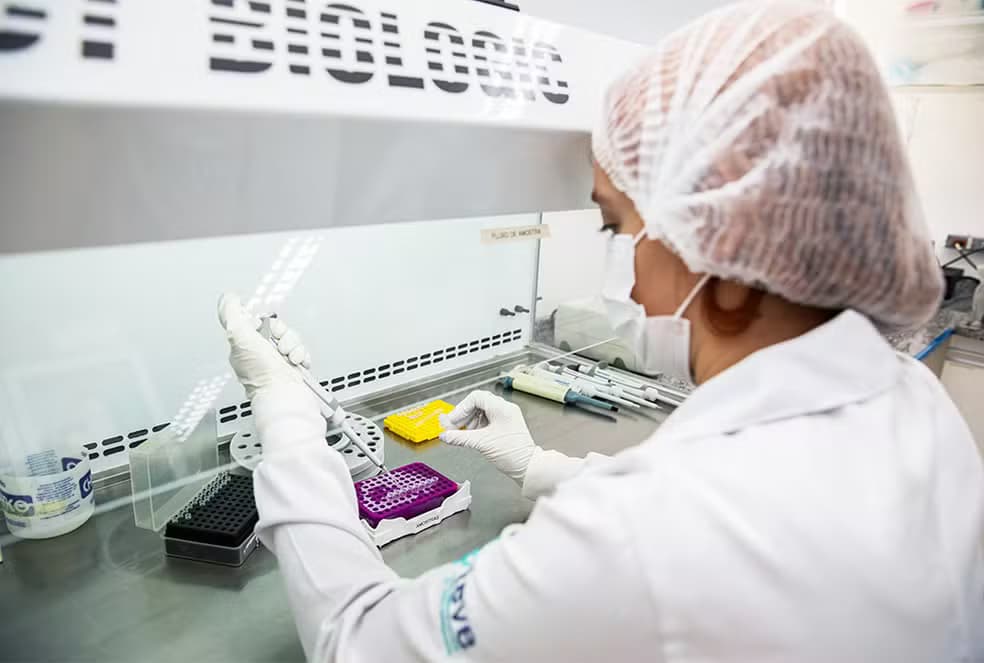 Instituto Butantan e Anvisa aprovam vacina contra chikungunya para adultos no Brasil