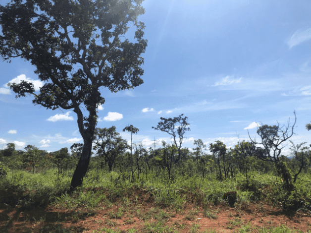 Publicada chamada para pesquisadores da área tecnológica e ambiental
