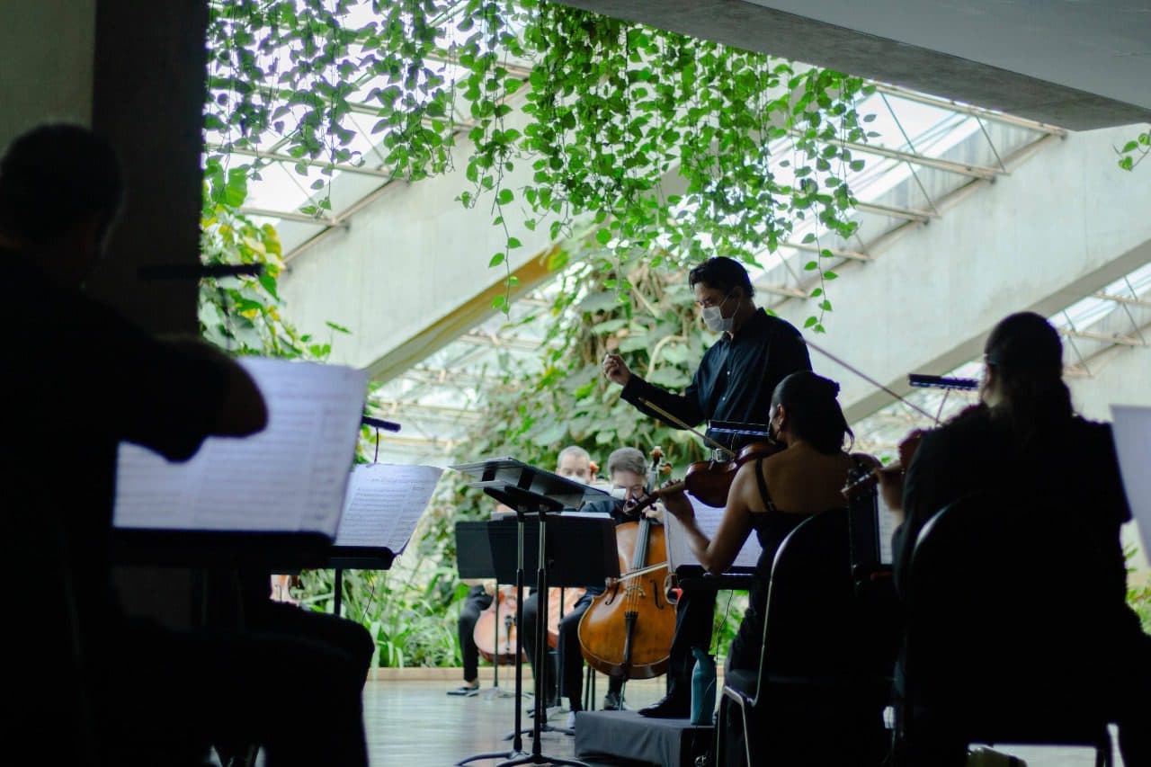 Orquestra Sinfônica retoma apresentações presenciais