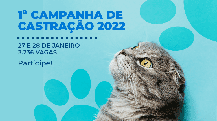 Campanha de castração de 2022 começa nesta quinta-feira (27)