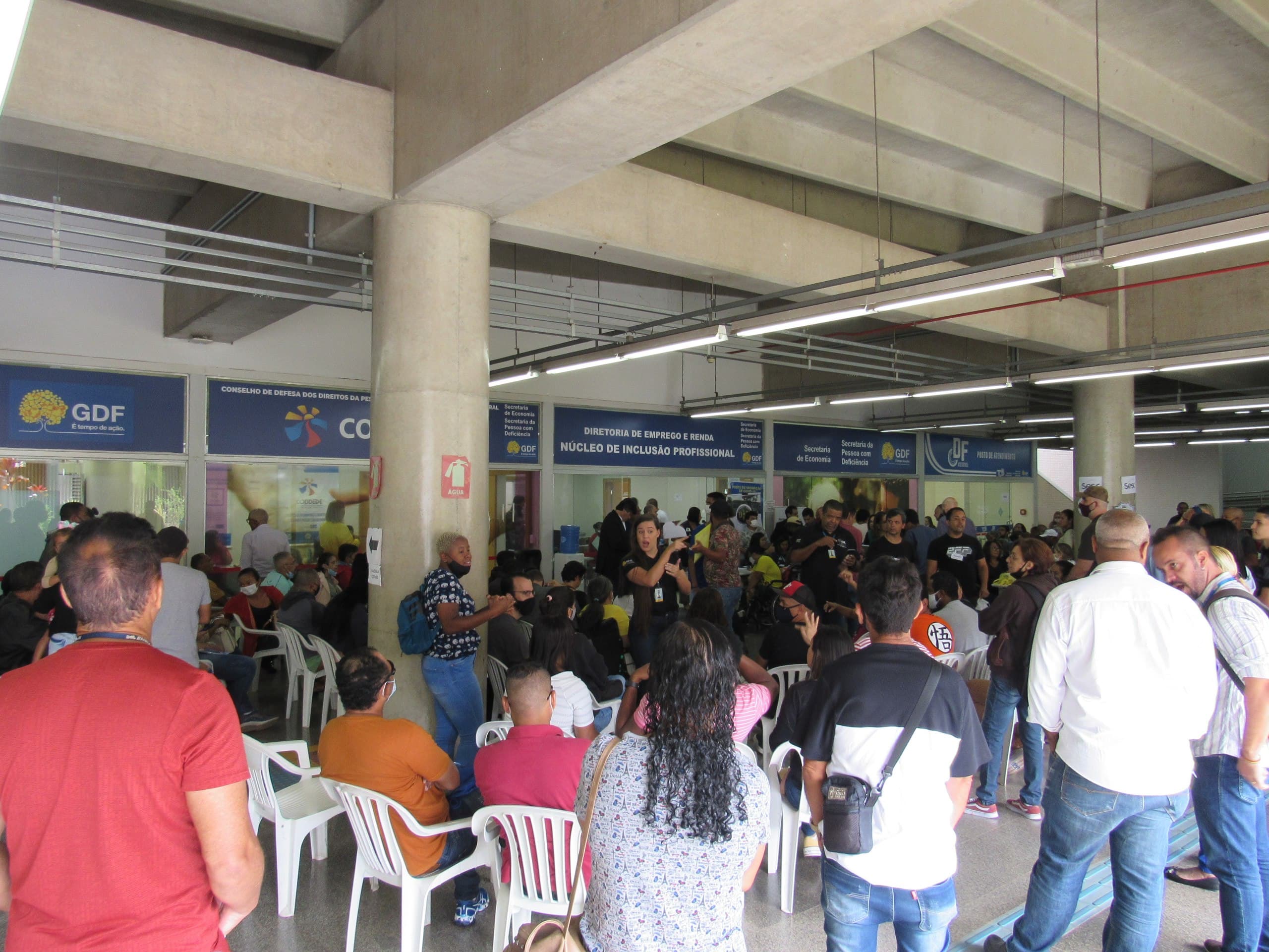 Quinta, Dia D da Empregabilidade