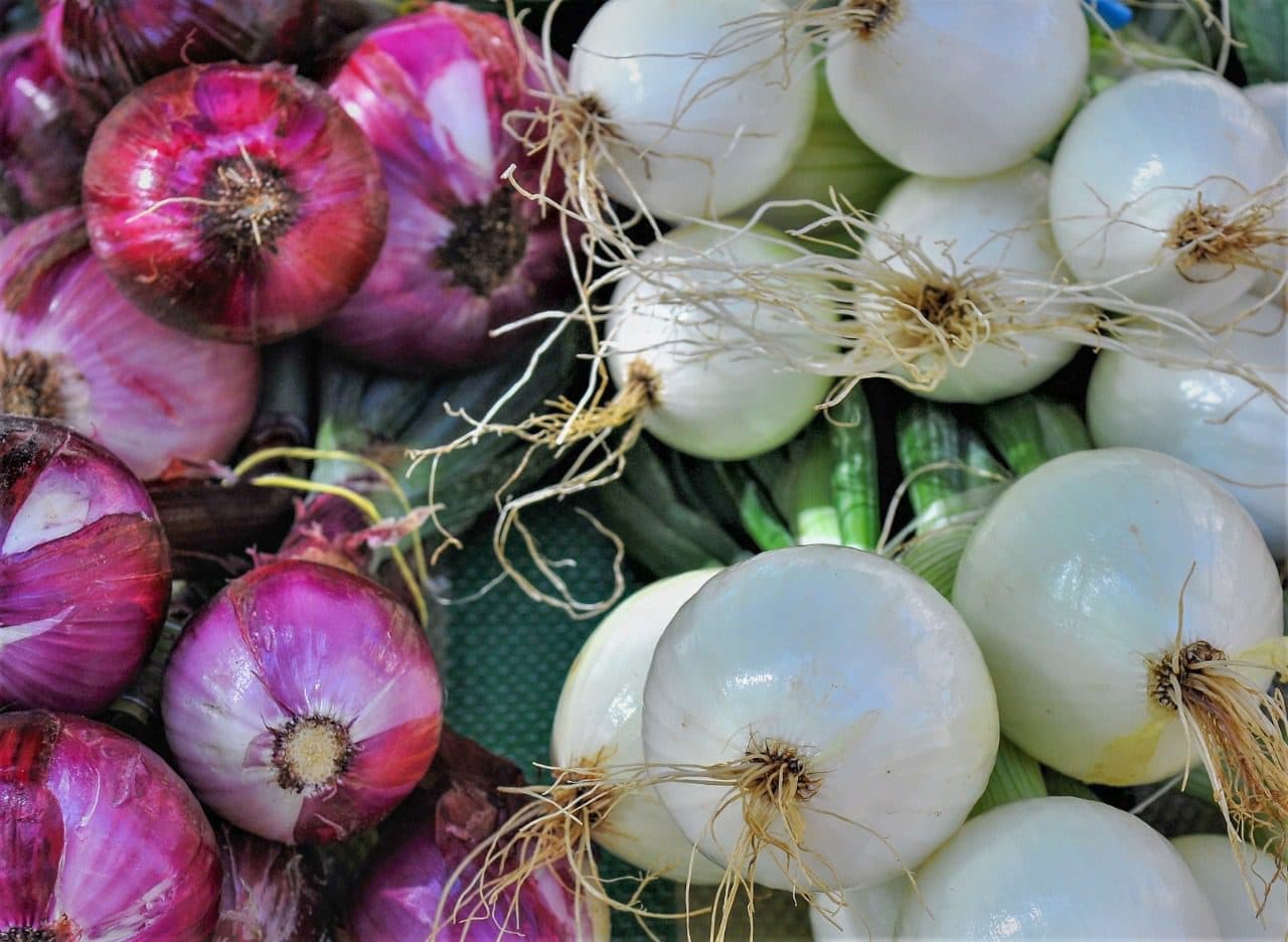 Mercado de orgânicos abre as portas para agricultura familiar