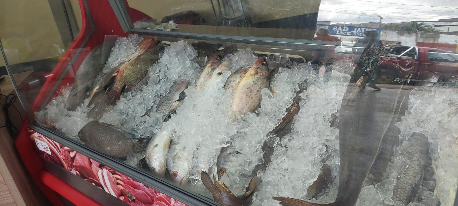 Peixe seguro para consumo na Semana Santa
