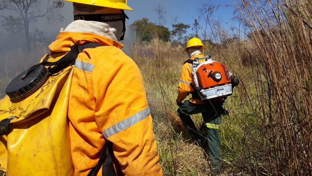 Suspensa inscrição para curso de formação de brigadista florestal