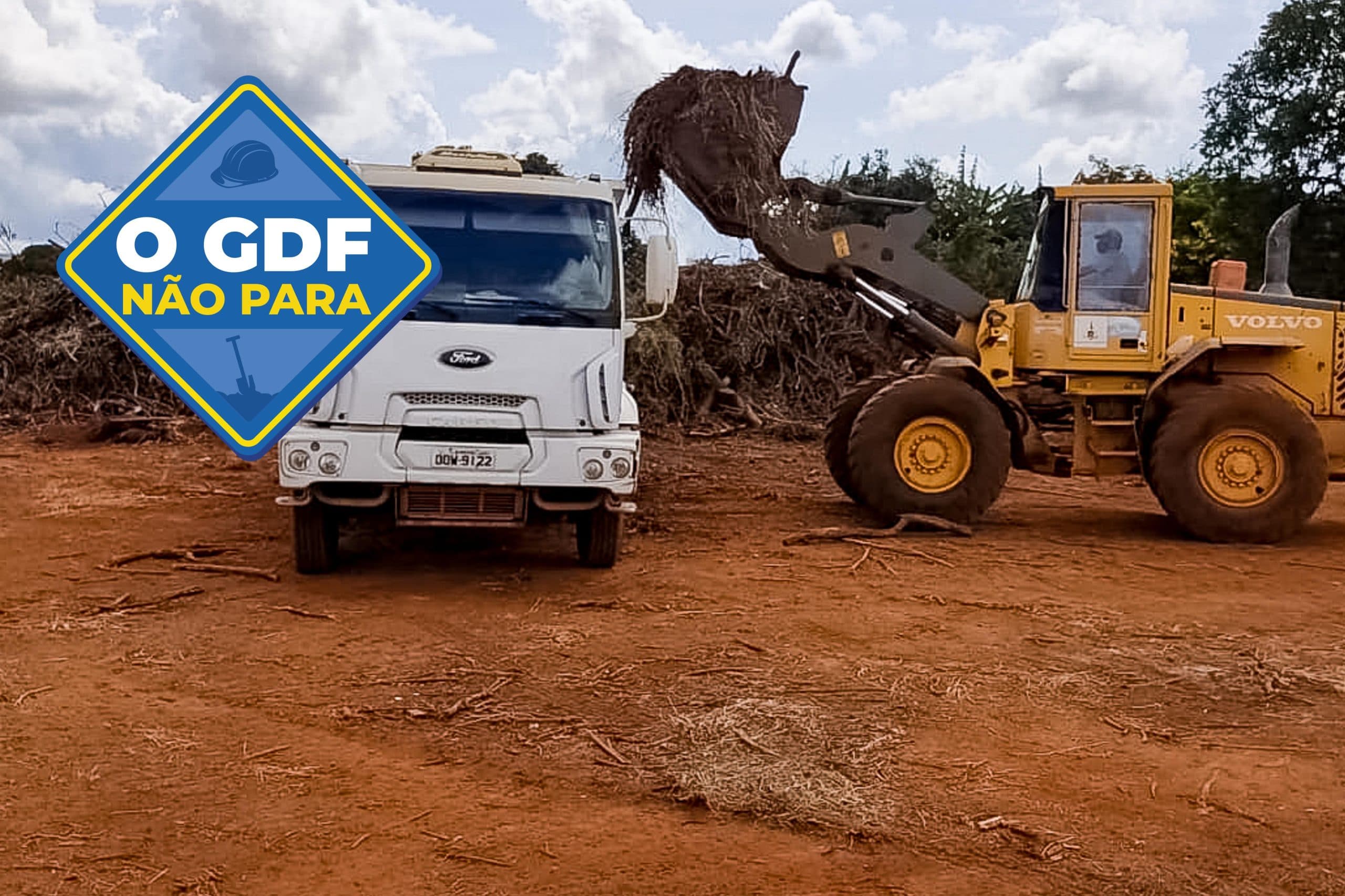 Área verde próxima ao HFA vai virar bosque