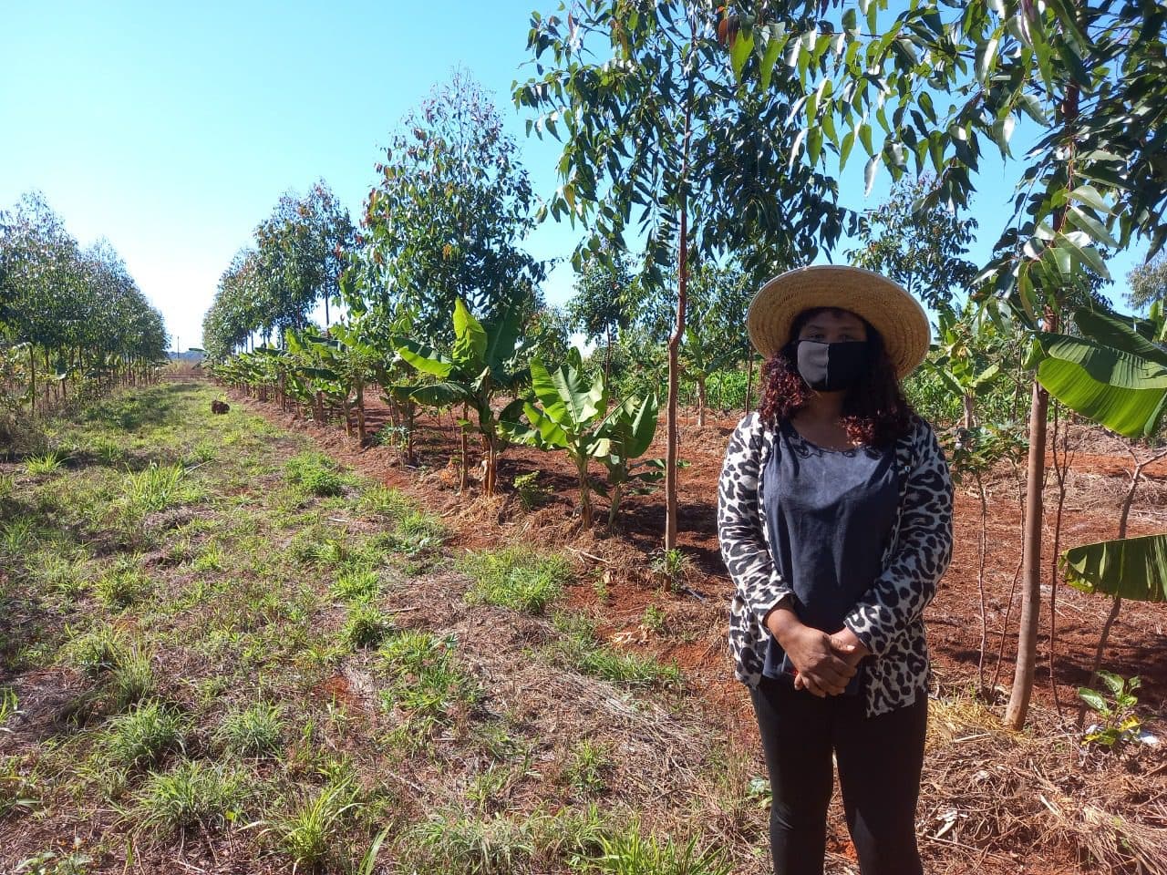 Projeto capacitará agricultores para a venda de alimentos