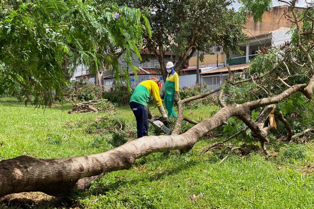 Parque Ecológico Riacho Fundo recebe ações do Reviva Parques
