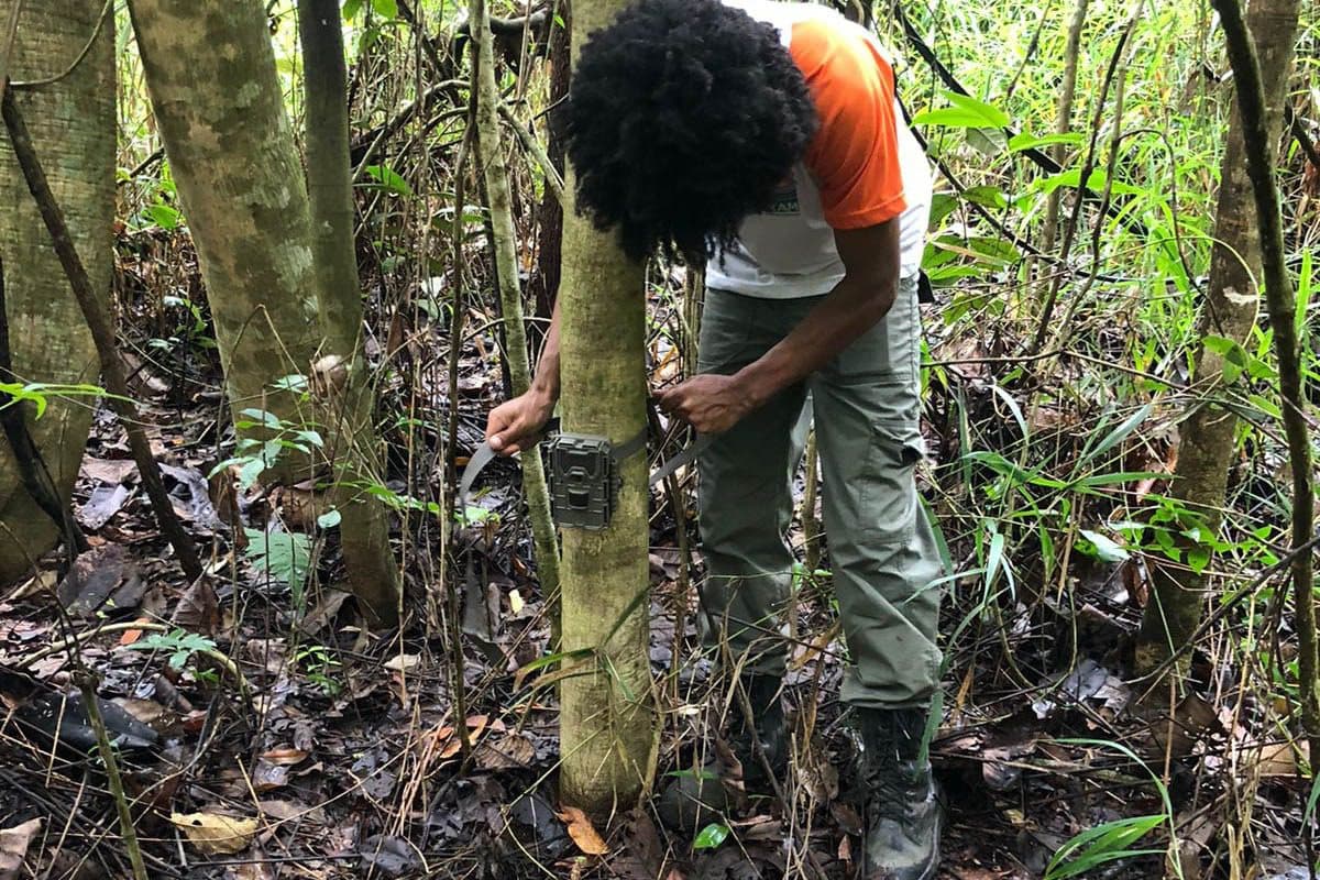 Biólogos do GDF ajudam na localização de onça no Altiplano Leste