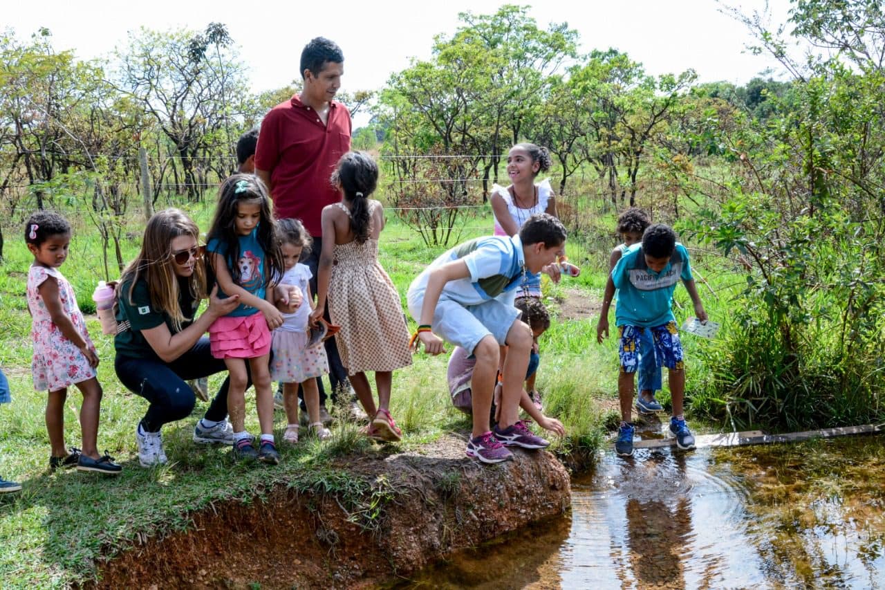 Programa Ambiente-se reabre agendamentos