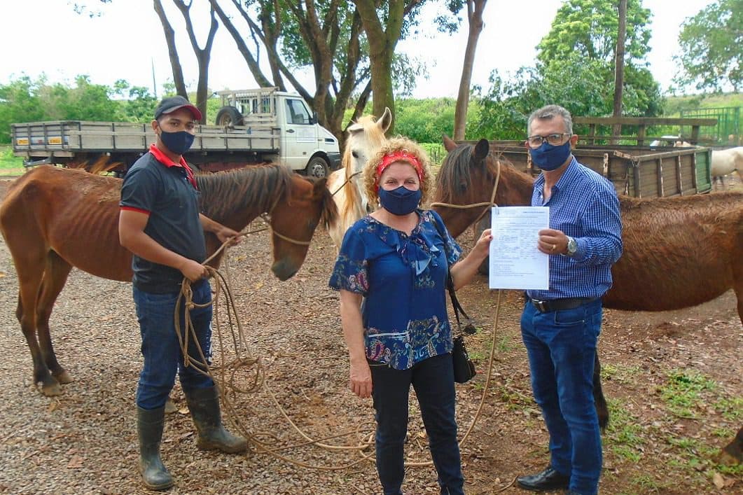 Políticas públicas em prol do bem-estar animal
