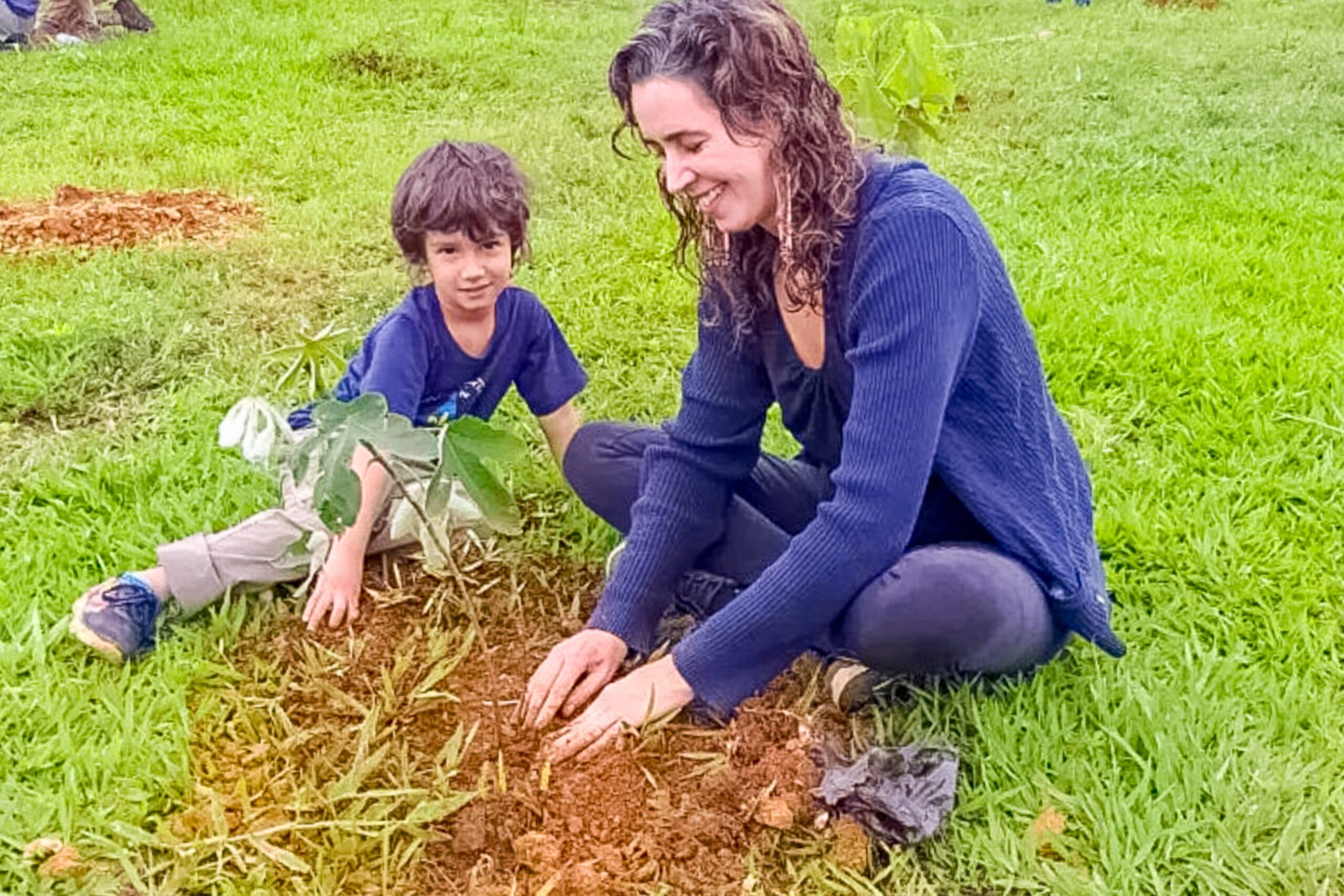 Mais de 1,5 mil mudas de árvores plantadas em núcleos rurais do Lago Norte