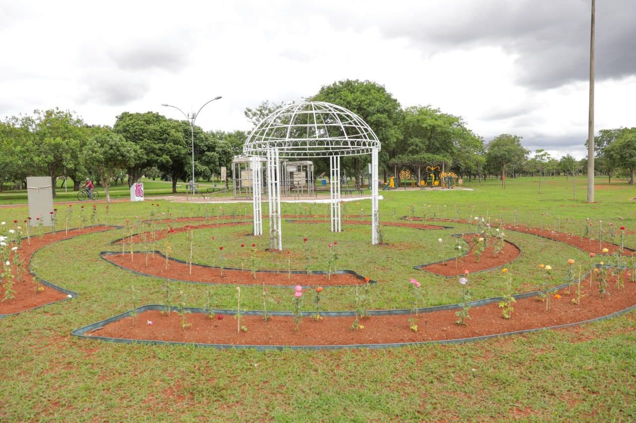 Parque da Cidade ganha Jardim de Rosas com 200 mudas