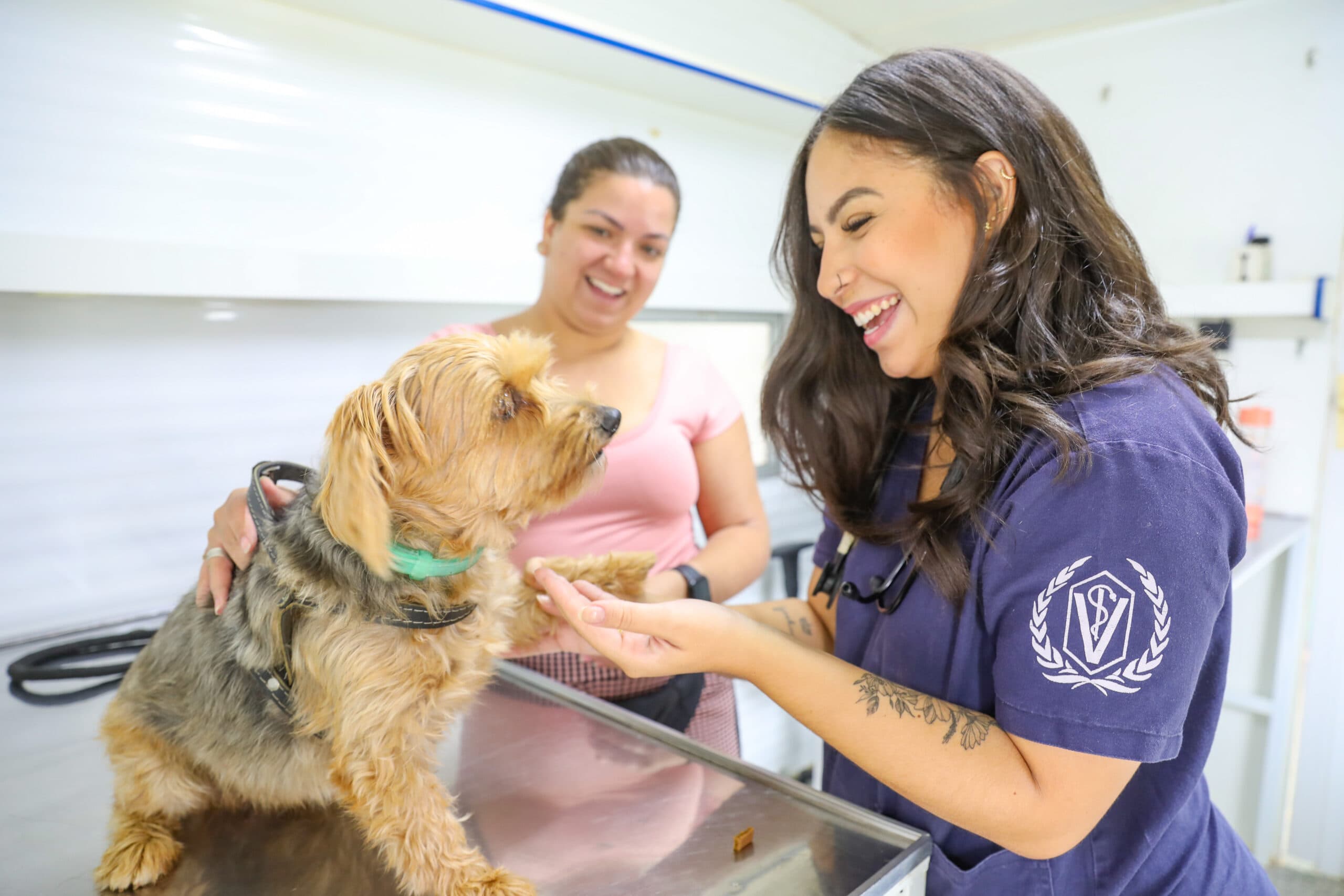 Hospital Veterinário móvel já realizou 1,5 mil consultas neste ano