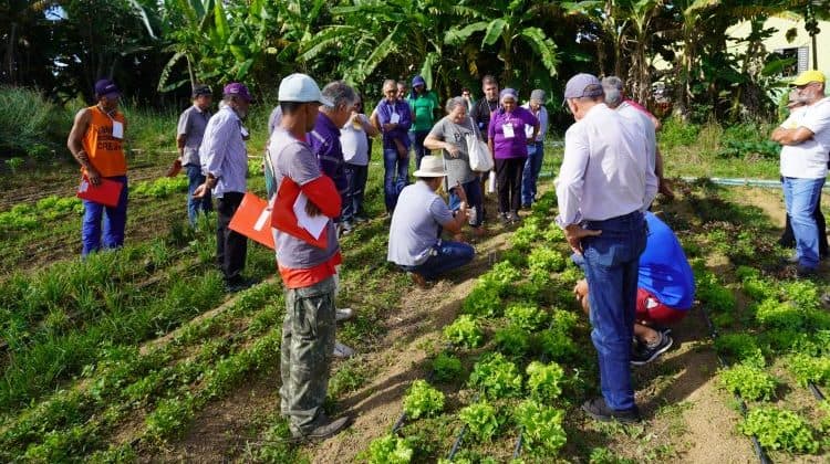 Curso ensina produtores rurais do Gama sobre irrigação eficiente