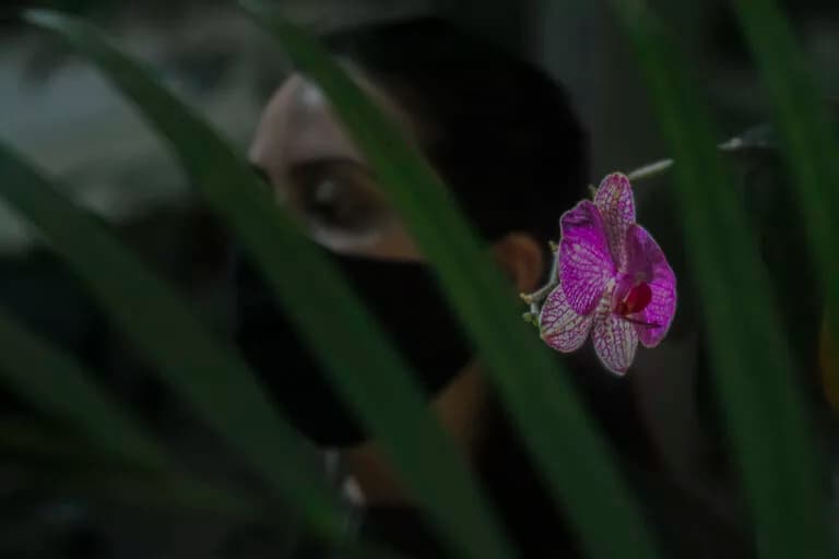 Rede de Flores acolhe mulheres em situação de violência doméstica