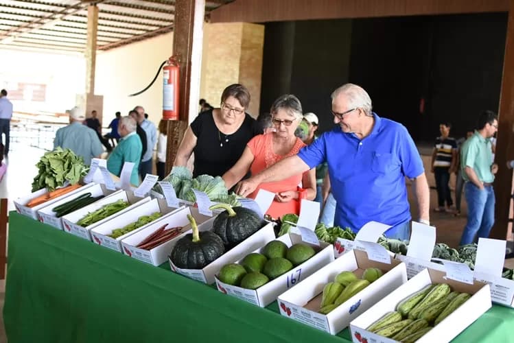 Festa do Produtor de Tabatinga começa neste sábado (3)